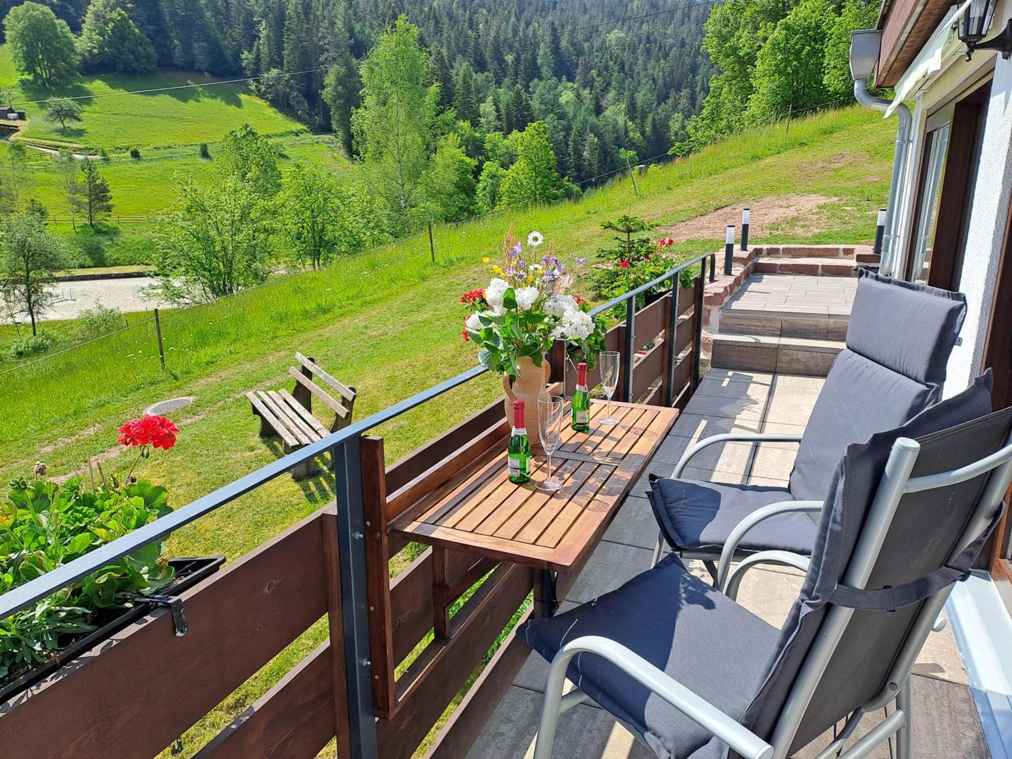 Ferienhaus Enzquelle Enzklösterle Kamer foto