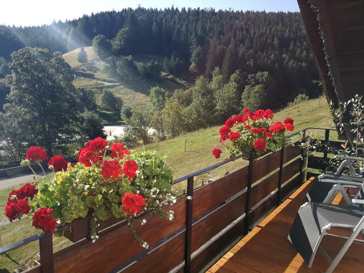 Ferienhaus Enzquelle Enzklösterle Buitenkant foto